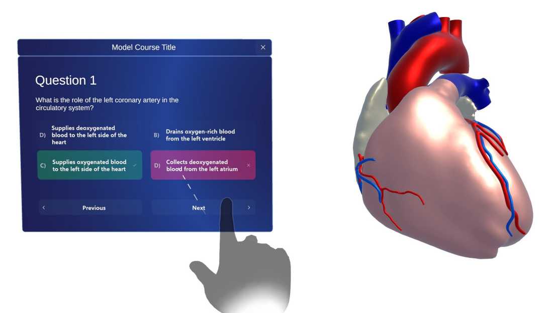 Multiple-Choice Quiz neben 3D Herzmodell