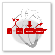 Enlarged view: Metabolic imaging